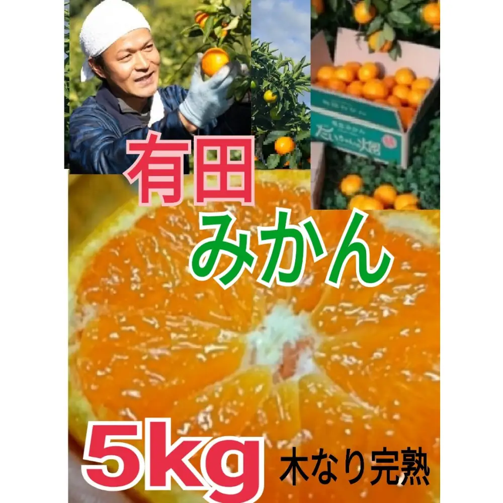 ［先行予約］［ご家庭用］有田みかん  5kg （S～2Lサイズミックス）木成り完熟 大ちゃんの畑農園
