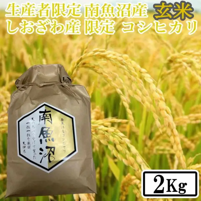 【令和7年産】【2kg】玄米 しおざわ産限定 生産者限定 南魚沼産コシヒカリ【銘柄米 ブランド米 玄米 こしひかり コシヒカリ 魚沼産 新潟米 産地直送 お米 米 こめ コメ ご飯 御飯 ごはん】