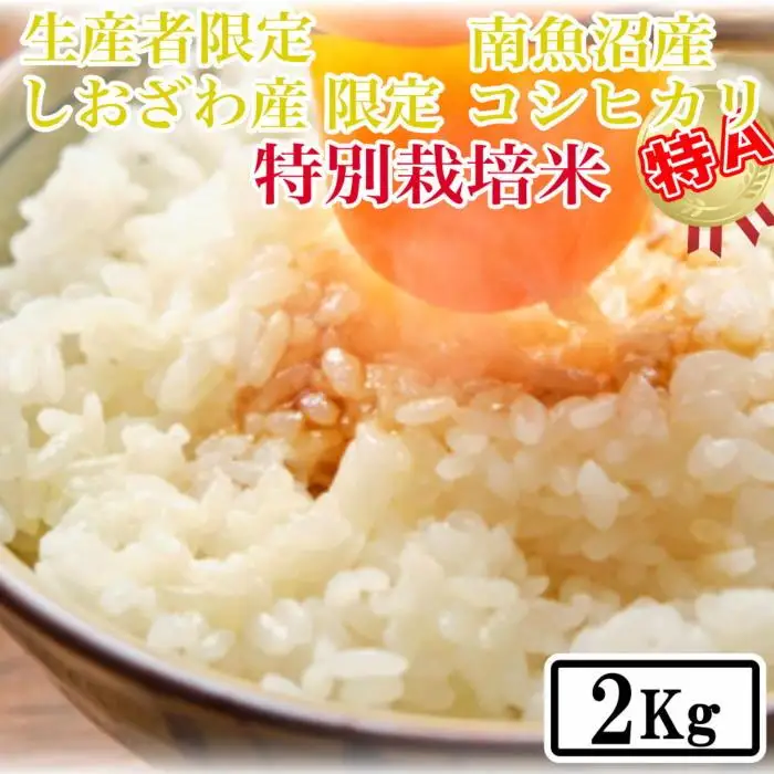 【令和7年産】【精米2kg】特別栽培 しおざわ産限定 生産者限定 南魚沼産コシヒカリ【銘柄米 ブランド米 精米 こしひかり コシヒカリ 魚沼産 新潟米 産地直送 お米 米 こめ コメ ご飯 御飯 ごはん】