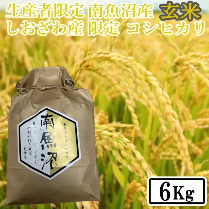 【令和7年産】【6kg】玄米 しおざわ産限定 生産者限定 南魚沼産コシヒカリ【銘柄米 ブランド米 玄米 こしひかり コシヒカリ 魚沼産 新潟米 産地直送 お米 米 こめ コメ ご飯 御飯 ごはん】