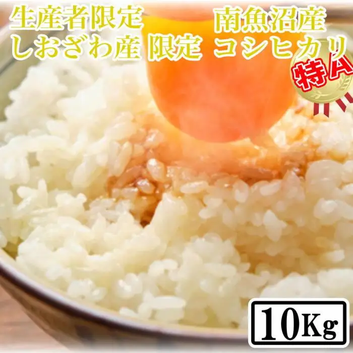 【令和7年産】【精米10kg】しおざわ産限定 生産者限定 南魚沼産コシヒカリ【銘柄米 ブランド米 精米 こしひかり コシヒカリ 魚沼産 新潟米 産地直送 お米 米 こめ コメ ご飯 御飯 ごはん】