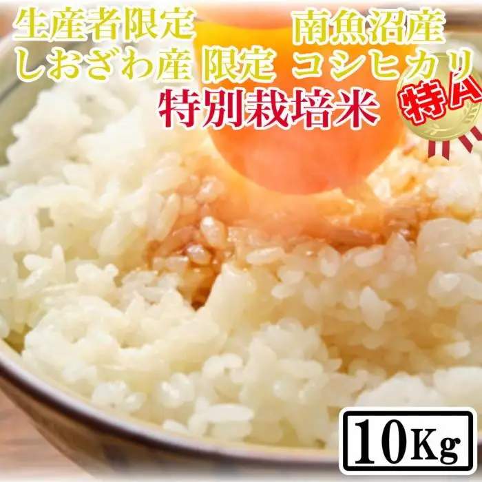 【令和7年産】【精米10kg】特別栽培 しおざわ産限定 生産者限定 南魚沼産コシヒカリ【銘柄米 ブランド米 精米 こしひかり コシヒカリ 魚沼産 新潟米 産地直送 お米 米 こめ コメ ご飯 御飯 ごはん】