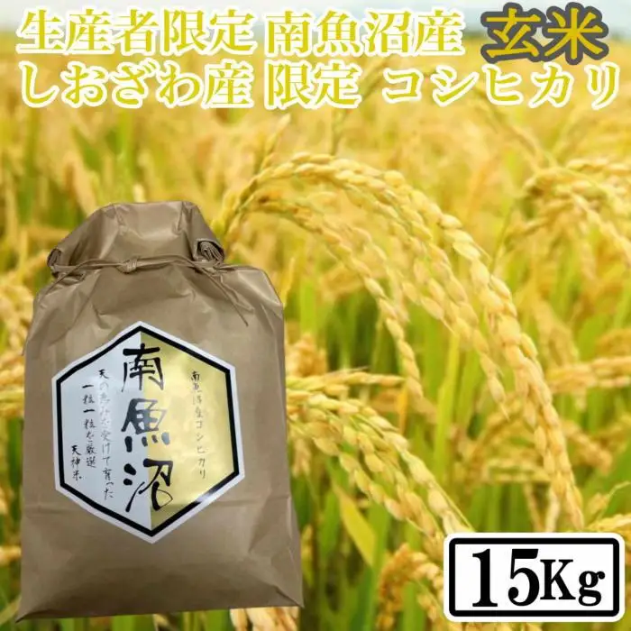 【令和7年産】【15kg】玄米 しおざわ産限定 生産者限定 南魚沼産コシヒカリ【銘柄米 ブランド米 玄米 こしひかり コシヒカリ 魚沼産 新潟米 産地直送 お米 米 こめ コメ ご飯 御飯 ごはん】