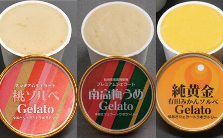 ジェラート アイス アイスクリーム  / プレミアムジェラート／ソルベ３種セット（南高梅うめ・純黄金有田みかん・もも）／ジェラート アイスクリーム プレミアムソルベ 100ml／ゆあさジェラートラボラトリー 紀伊国屋文左衛門本舗 SenZanAn Premium Ice Cream【kmtb704】