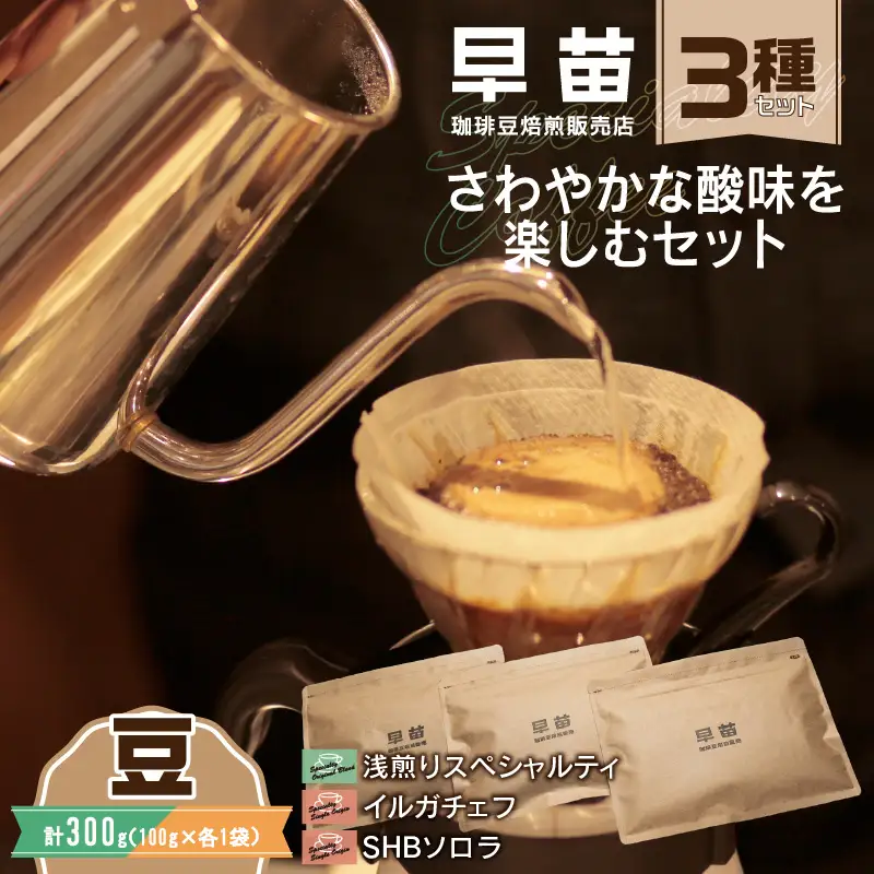 【早苗】焙煎珈琲豆（さわやかな酸味を楽しむセット　3種×各100g）豆  0020-006-S05-1