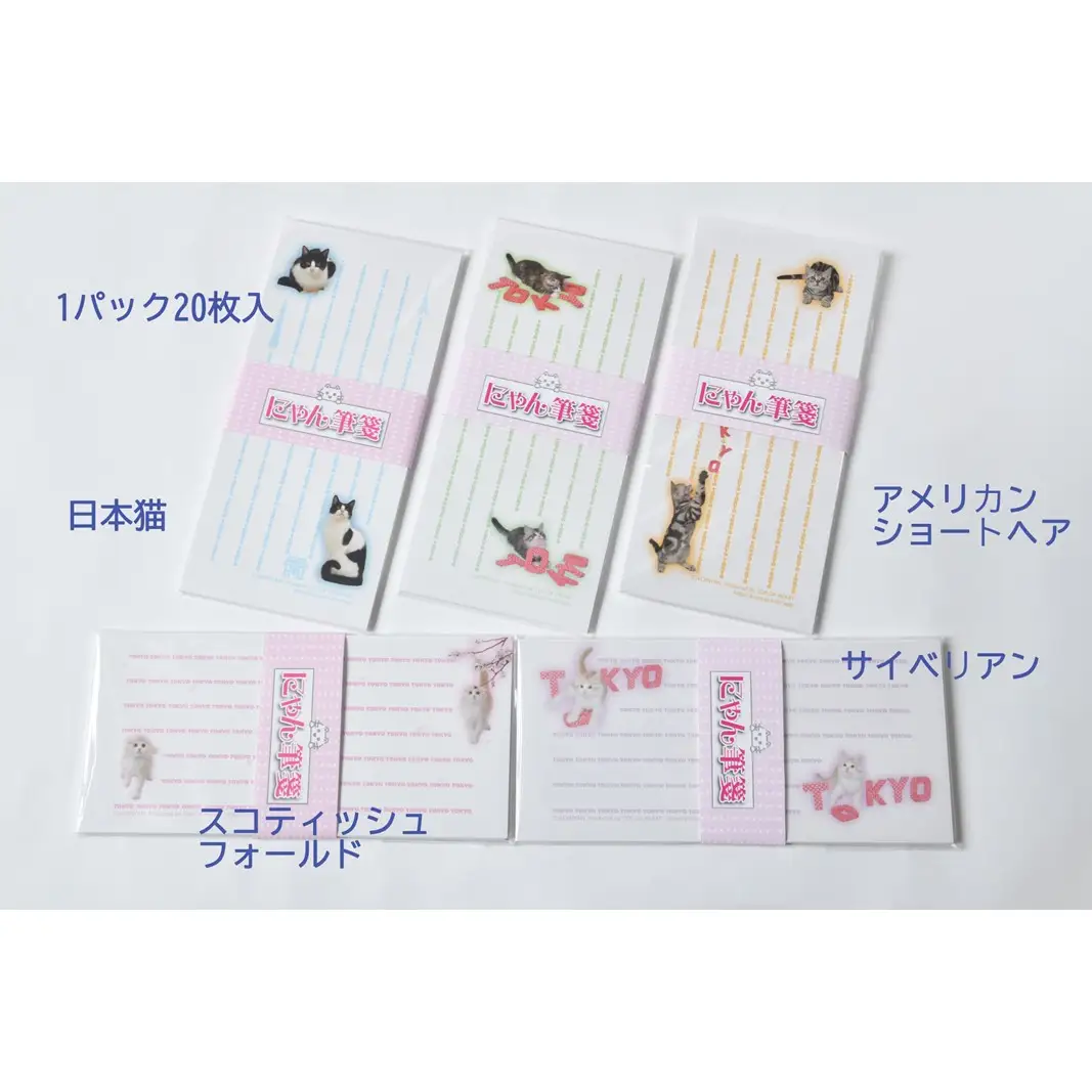 猫写真の一筆箋「にゃん筆箋」東京キャット5種セット 0039-003-S05
