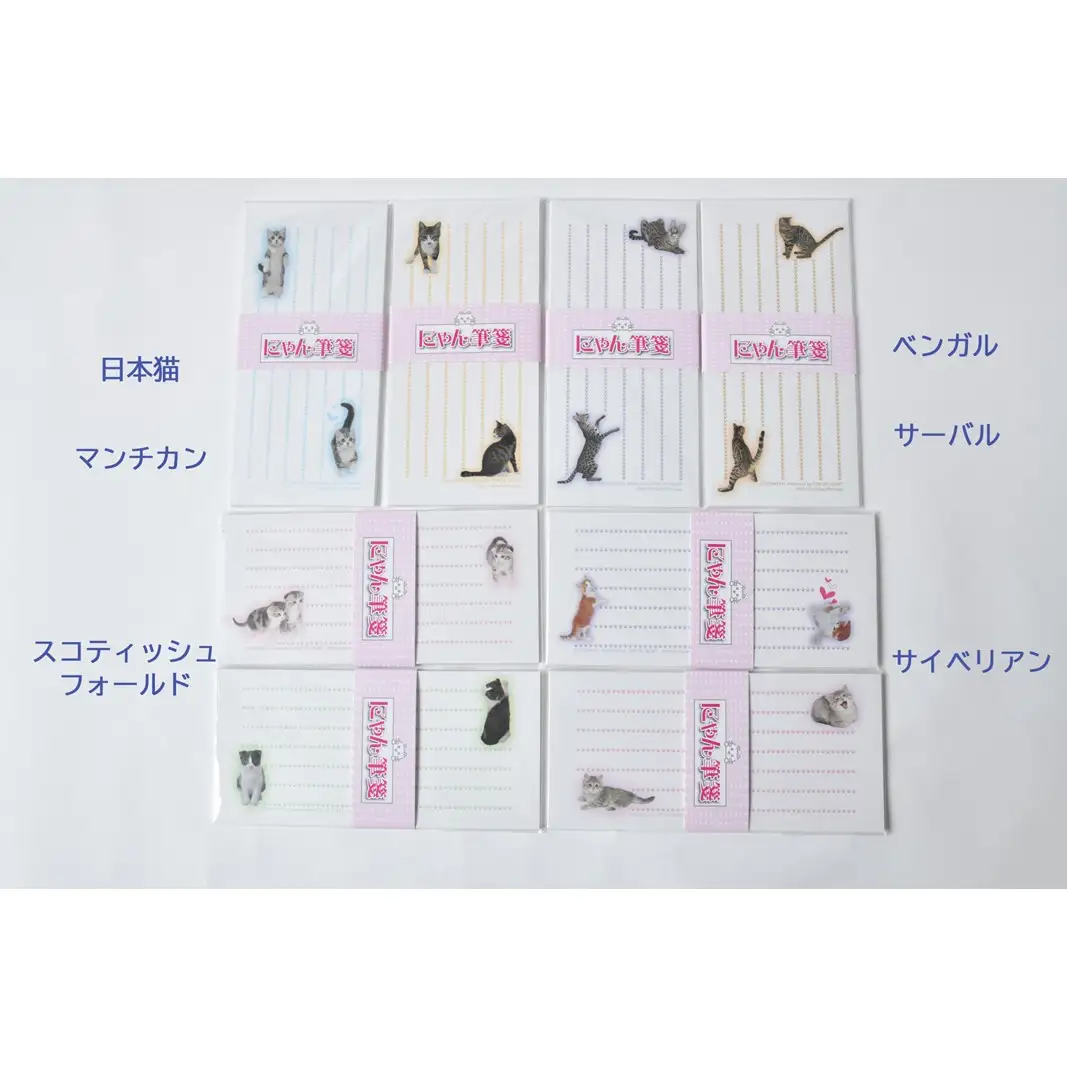 猫写真の一筆箋「にゃん筆箋」猫種いろいろ肉球キャット8種セット 0039-004-S05