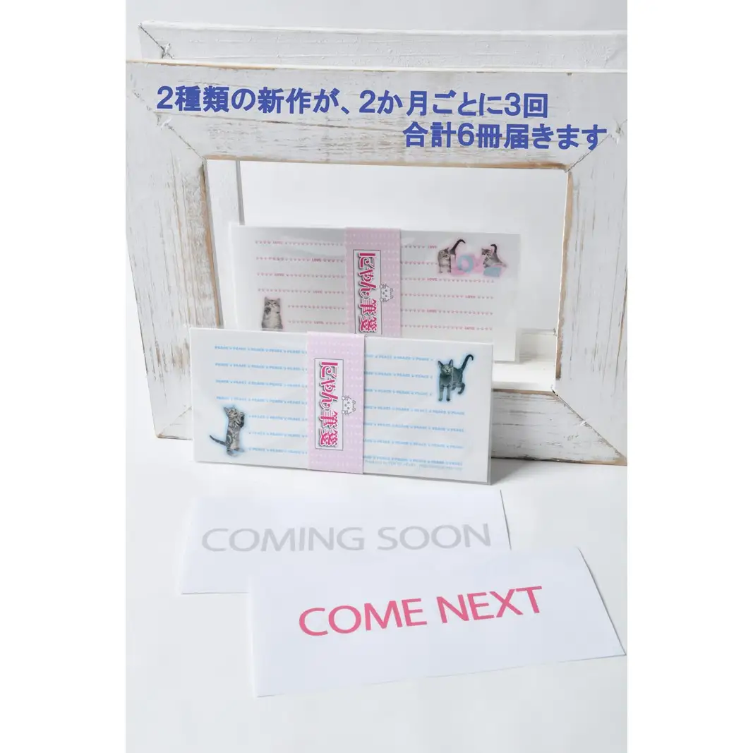 猫写真の一筆箋「にゃん筆箋」隔月ごとに新作２種類が３回届くセット 0039-005-S05