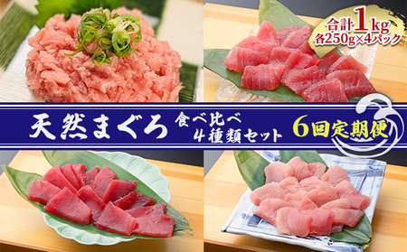 【6回定期便】天然まぐろ食べ比べ4種セット 合計1kg（バチマグロ切落し・びん長マグロ・ミナミマグロ・ネギトロ 250g×各１袋）×6回【配送不可：離島】 魚貝類 海の幸 海鮮 お酒のあて 厳選まぐろ もちもち 