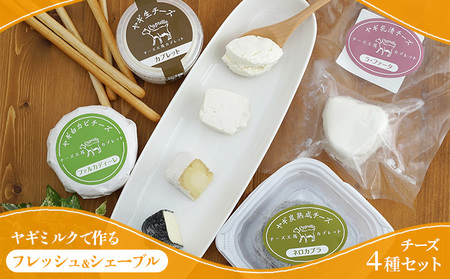 【2026年6月以降お届け】ヤギミルクで作る チーズ 4種 セット フレッシュ シェーブル チーズセット 詰め合わせ フレッシュチーズ ヤギチーズ ナチュラルチーズ 食べ比べ おつまみ 乳製品 長野 上田市
