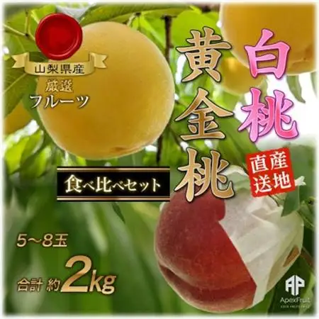 【2026年発送】山梨市産　白桃と黄金桃の食べ比べセット　約2kg(5～8玉)【配送不可地域：離島】【1431881】
