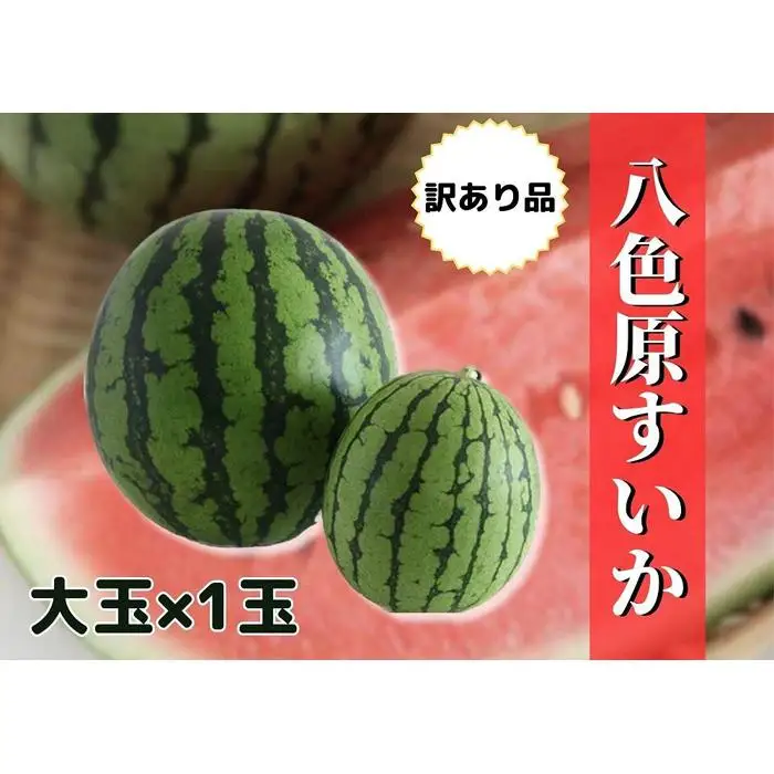 先行予約【新潟県南魚沼産】【わけあり】八色原スイカ 大玉１玉【2026年7月下旬発送】【お届け日時指定不可】