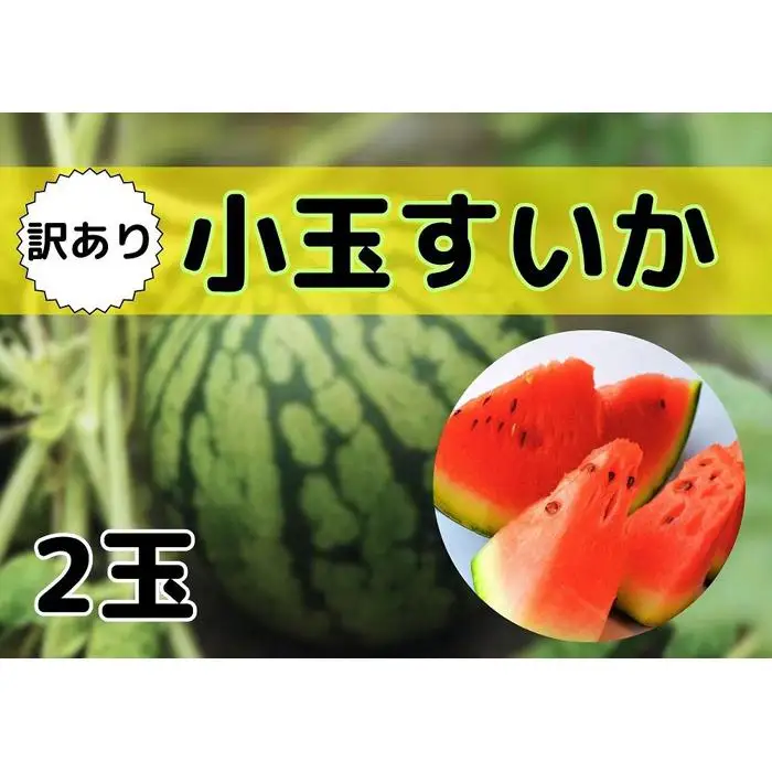 先行予約【新潟県南魚沼産】【わけあり】八色原スイカ 小玉２玉【2026年7月中旬発送】【お届け日時指定不可】