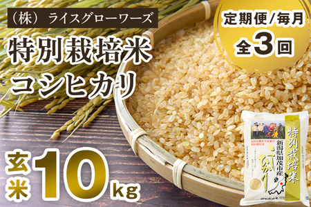 【令和7年産】【定期便3回毎月お届け】新潟県加茂市産 特別栽培米コシヒカリ 玄米10kg（5kg×2）《順次出荷》 従来品種コシヒカリ （株）ライスグローワーズ