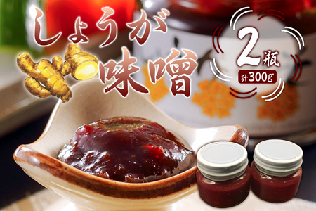 しょうが味噌　150g×2個 mi0005-0007 辛味 房州生姜 甘辛 味噌 みそおでん 野菜炒め 高家ふるさと産品 国産 ごはん おかず