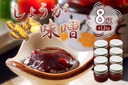 しょうが味噌　150g×8個 mi0005-0013 辛味 房州生姜 甘辛 味噌 みそおでん 野菜炒め 高家ふるさと産品 国産 ごはん おかず