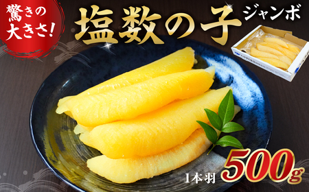 塩数の子ジャンボ　1本羽 500g mi0012-0069