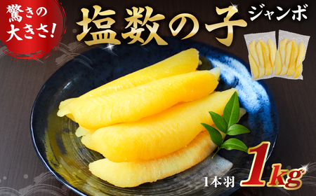 塩数の子ジャンボ　1本羽　1kg　小分け(500g×2袋） mi0012-0070