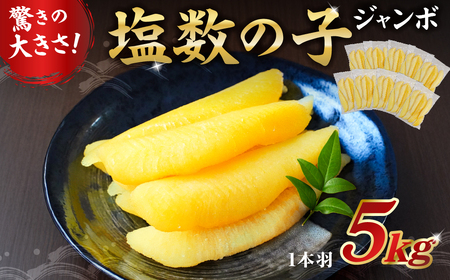 塩数の子ジャンボ　1本羽　5kg　小分け（500g×10袋） mi0012-0072