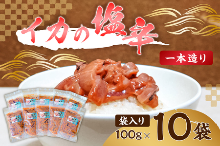 イカの塩辛一本造り（袋入り100g×10） mi0012-0122 塩辛 いか おかず つまみ 食品