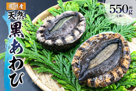 【先行受付 2026年5月～9月上旬発送予定】房州産天然黒あわび約550g mi0014-0007