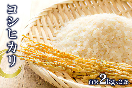 コシヒカリ白米2kg×2袋【2025年産】 mi0015-0001