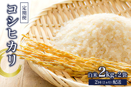 【定期便】コシヒカリ白米2kg×2【2025年産】【2か月連続でお届け】 mi0015-0002