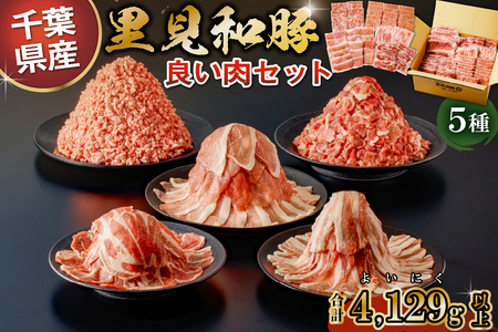 房総ブランド豚（里見和豚）４kg以上　小分け５種　計37パック　 mi0017-0004