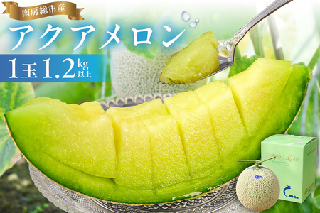 【TVで紹介！】南房総市産アクアメロン（マスクメロン）1個  mi0018-0001