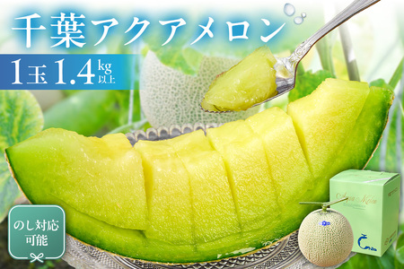 【TVで紹介！】のし対応可能 千葉アクアメロン(マスクメロン)1玉  mi0018-0002
