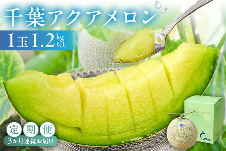 【定期便】【TVで紹介！】千葉アクアメロン1玉（1.2Kg）【3か月連続お届け】 mi0018-0004
