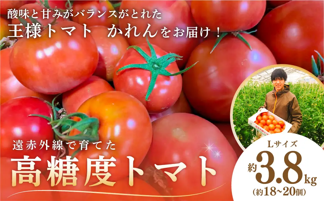 遠赤外線で育てた高糖度トマトLサイズ 約3.8kg 1箱（約18～20個入） mi0019-0003 