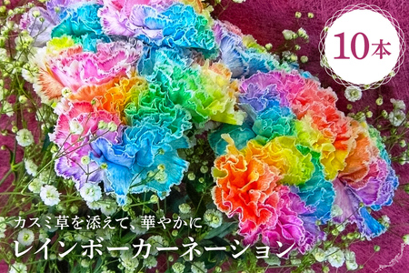 レインボーカーネーション　10本セット mi0019-0005 ｶｰﾈｰｼｮﾝ 母の日 虹色 ﾚｲﾝﾎﾞｰ ｾｯﾄ かすみ草 生花 お部屋 玄関 ｱｸｾﾝﾄ
