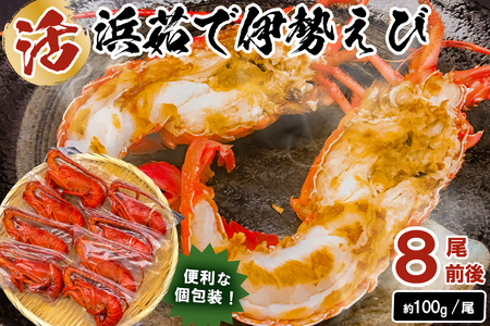 【天然】ボイル冷凍伊勢海老　約100g×8本前後 mi0020-0002