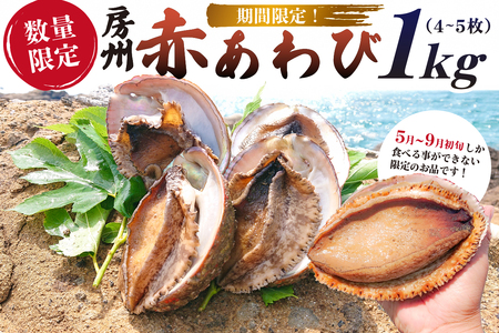 【2026年5月～9月初旬発送予定】【数量限定】房州赤あわび 1kg（4～5枚） mi0020-0006