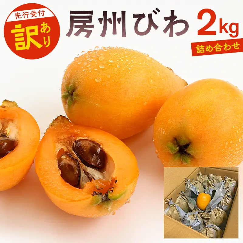 【6月14日決済完了まで受け付け】〈訳あり〉房州びわ(露地栽培) 2kg　詰め合わせ mi0038-0001 枇杷