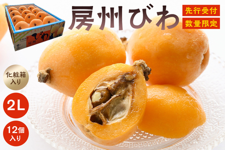 【先行受付 2026年5月下旬～6月下旬発送予定】房州びわ(露地栽培) 2L以上12ヶ入り 1箱 mi0038-0002 枇杷