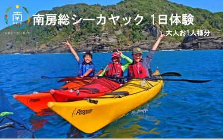 南房総シーカヤック一日体験（大人お一人様分） mi0040-0002