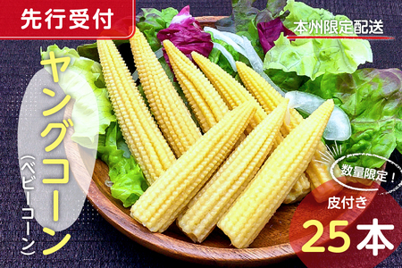 【先行受付 2026年6月上旬～7月中旬発送予定】数量限定！ヤングコーン(ベビーコーン）25本 mi0044-0002 とうもろこし