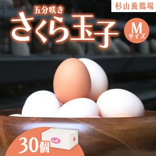 純国産鶏さくらちゃんが産んだ桜色のさくら玉子の五分咲き30個◇ | 卵 たまご 濃厚 10000円 1万円以内