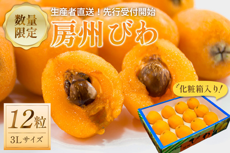 【先行受付 2026年5月下旬～6月中旬発送予定】房州びわ3Lサイズ以上×12粒（化粧箱入り） mi0044-0015
