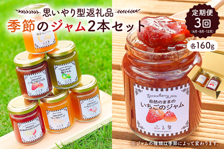 【定期便 思いやり型返礼品】 季節のジャム2本セット（160ml×2本）×3回（4月・8月・12月）お届け mi0049-0007 食品 ﾌﾙｰﾂｼﾞｬﾑ ｾｯﾄ 食べ比べ 