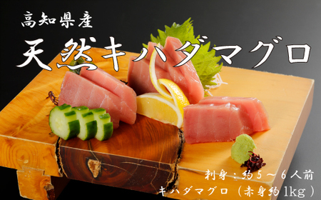 26-1000．お刺身や漬け丼に！　天然まぐろ　キハダマグロ（赤身）約1kg　刺身：5～6人前