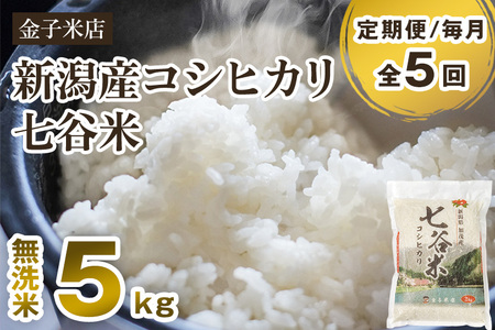【令和7年産】【定期便5ヶ月毎月お届け】老舗老舗米穀店が厳選 新潟県加茂市産コシヒカリ「七谷米」無洗米5kg 〈順次出荷〉 従来品種 金子米店