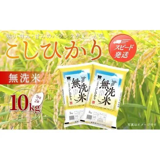 【最短2～7営業日出荷】令和7年産 千葉県産「無洗米コシヒカリ」10kg（5kg×2袋） A041