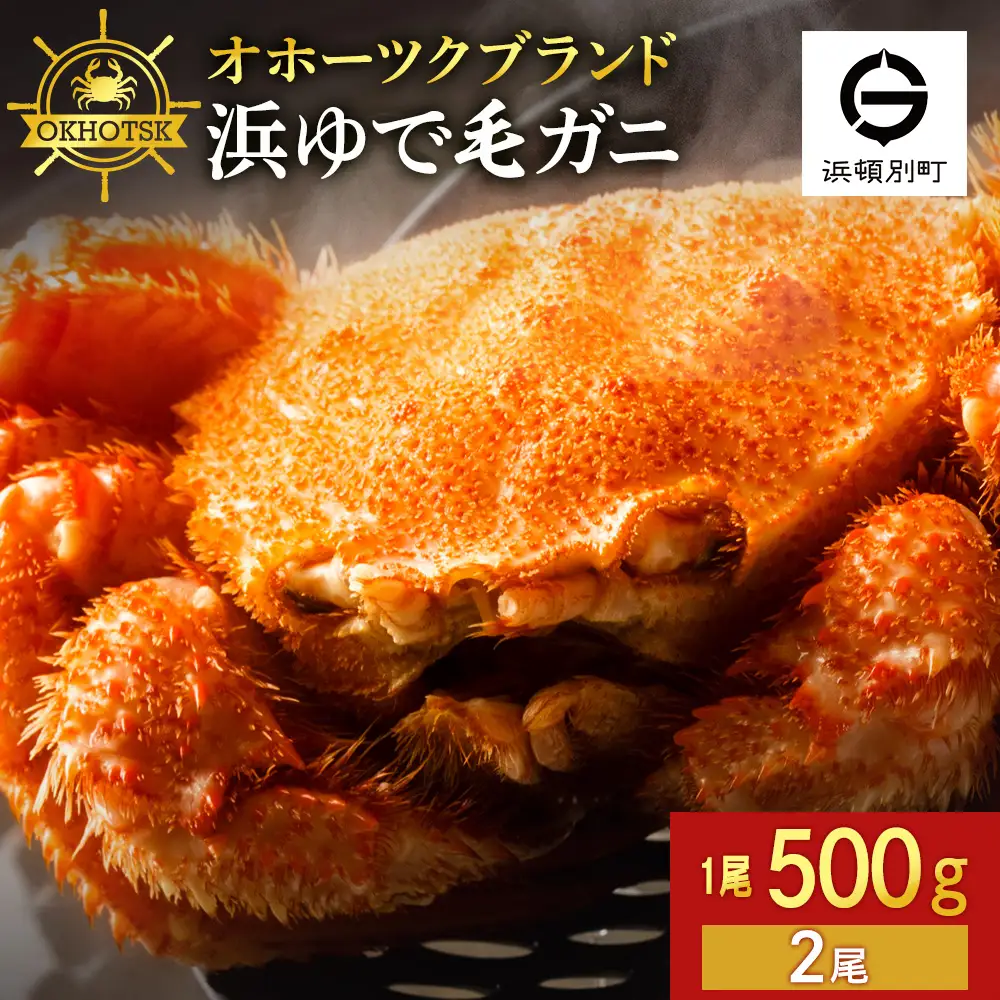 ☆北海道産 毛ガニ 約500g×2尾 セット