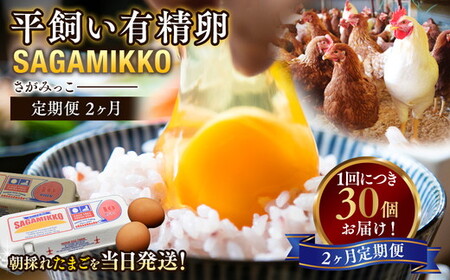 【2ヶ月定期便】平飼い有精卵 さがみっこ 30個（10個×3パック）｜たまご 平飼い 有精卵 かながわブランド認定