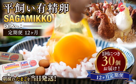 【12ヶ月定期便】 平飼い有精卵 さがみっこ 30個（10個×3パック）｜たまご 平飼い 有精卵 かながわブランド認定