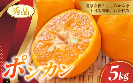 【先行予約】秀品 ポンカン 5kg 【S~2Lのサイズおまかせ】 【2026年10月中旬から1月下旬頃に順次発送】＜味好農園＞/ ぽんかん 蜜柑 みかん 柑橘 果物 フルーツ 【agy008-p-5】