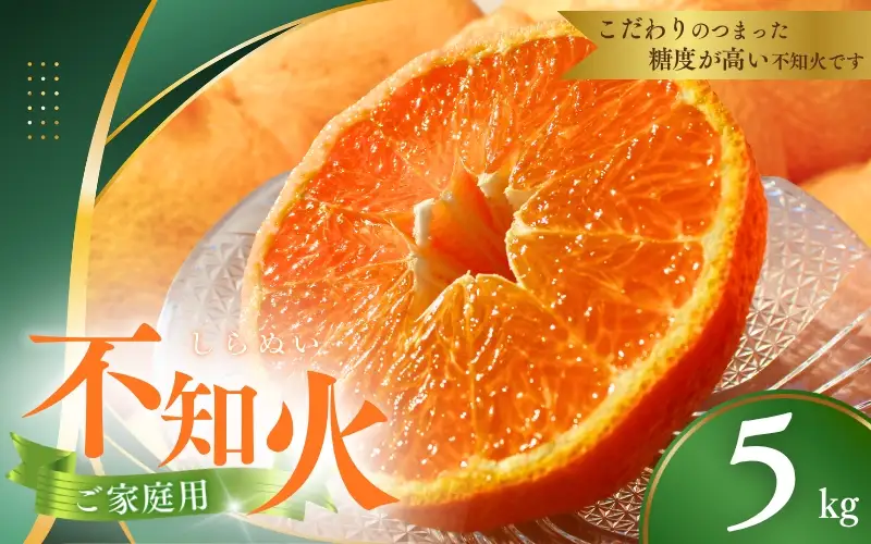 先行予約】ご家庭用 不知火 5kg 【M～4Lのサイズおまかせ】【2027年1月